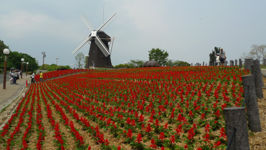 825989 (a): :1920x1080